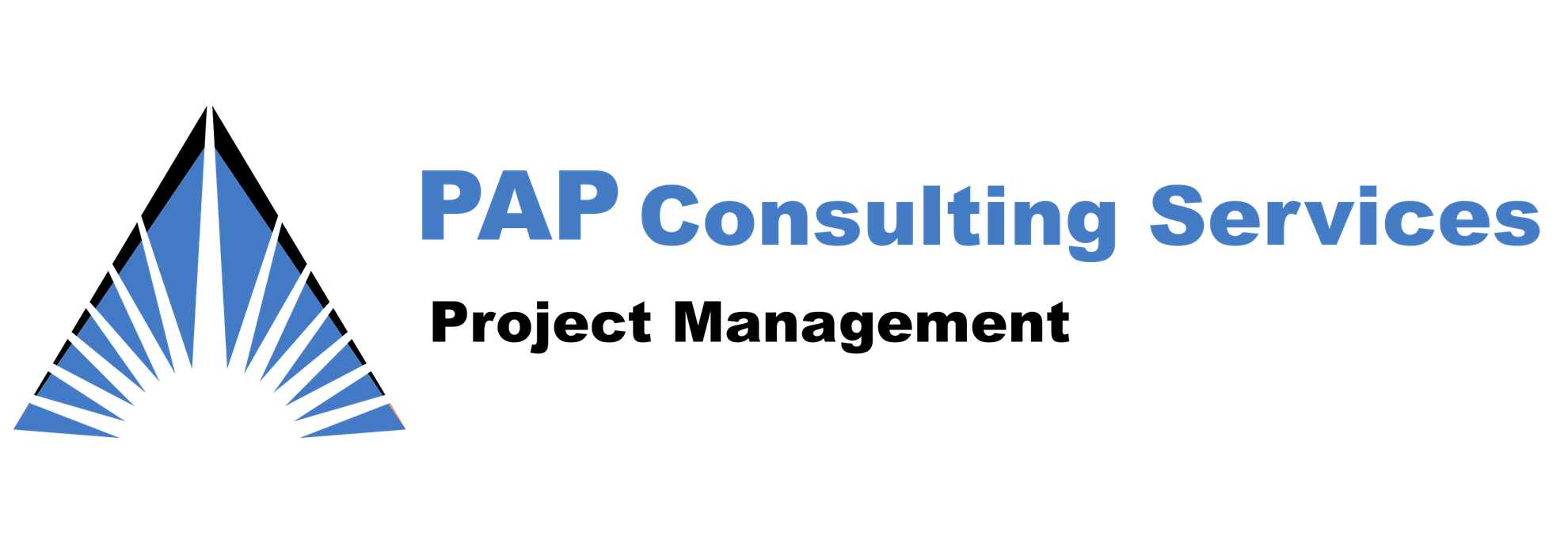 PAP CONSULTING SERVICES LLC