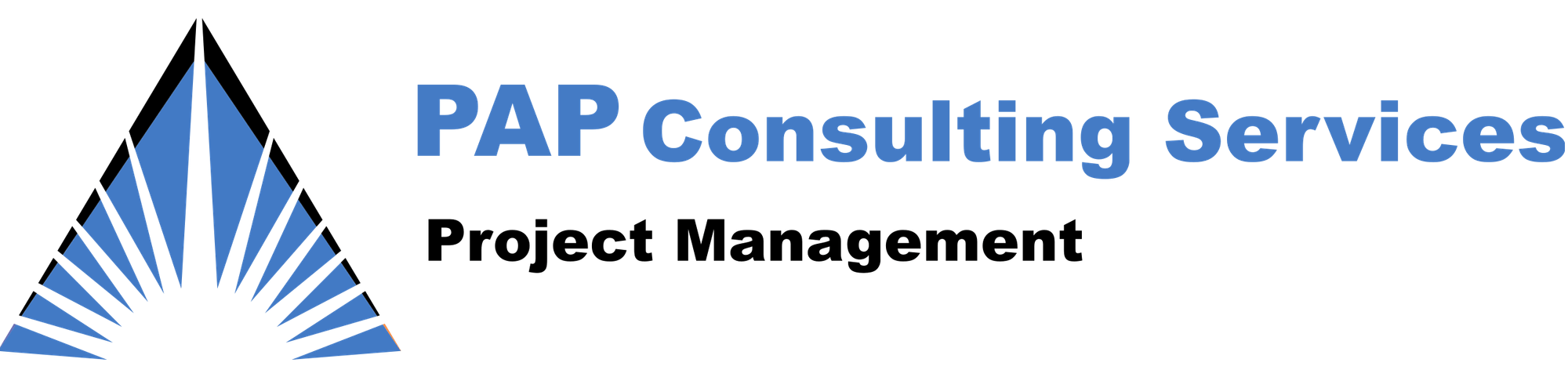 PAP CONSULTING SERVICES LLC