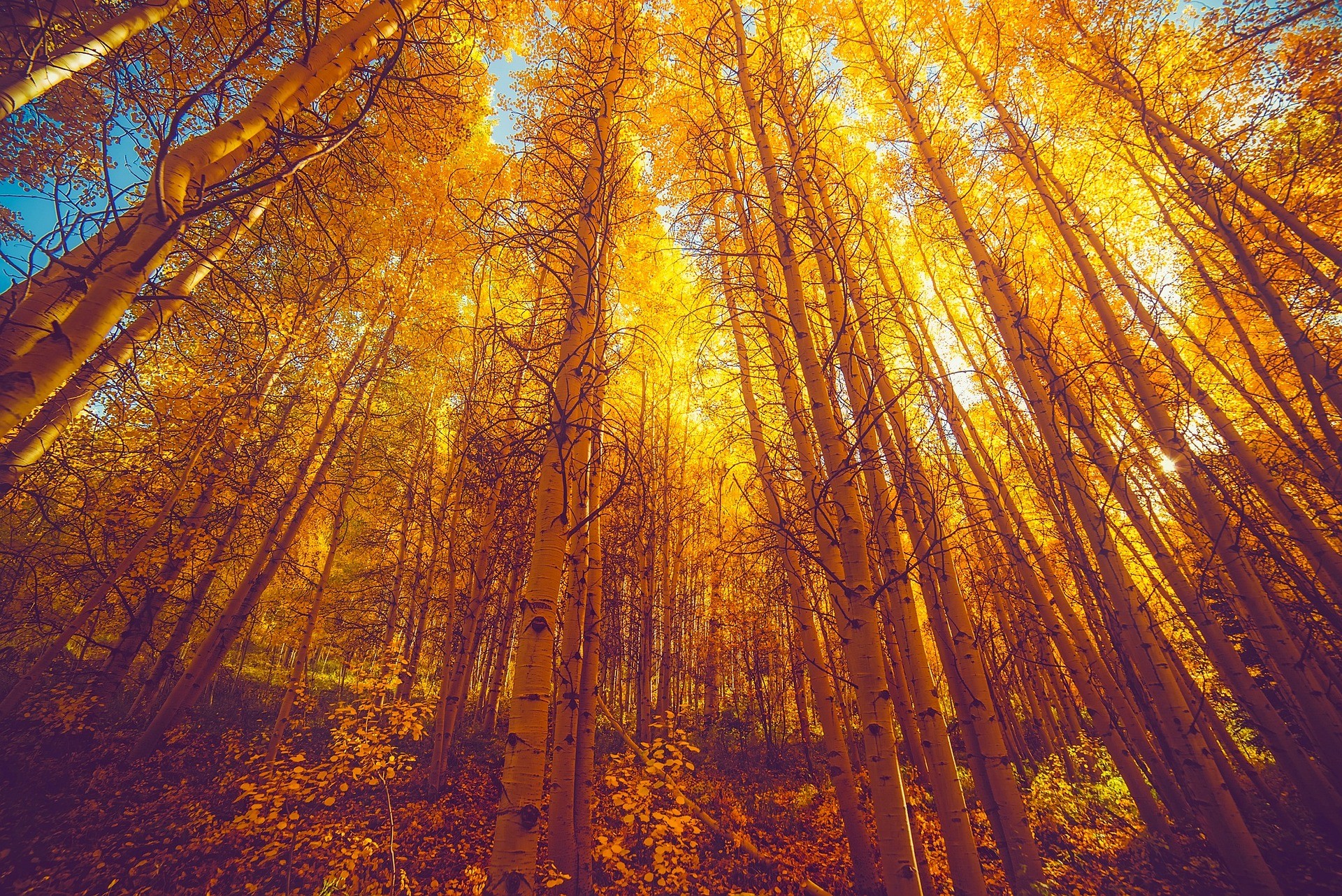 Sarah Spurlock, M.A., LMFT | Navigating Life Transitions with LMFT Counselor Sarah Spurlock | Castle Rock and Parker, CO | image3