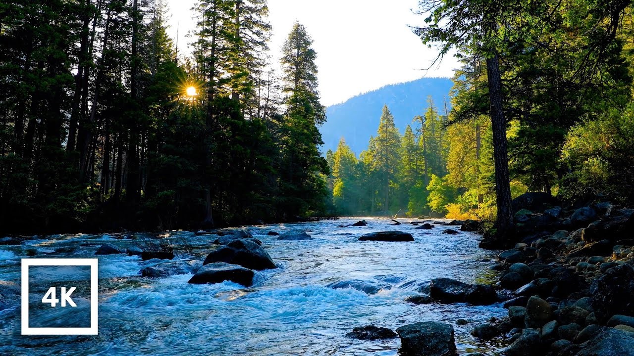 4K Peaceful Merced River Sunrise Ambience | Water Sounds White Noise | Yosemite National Park