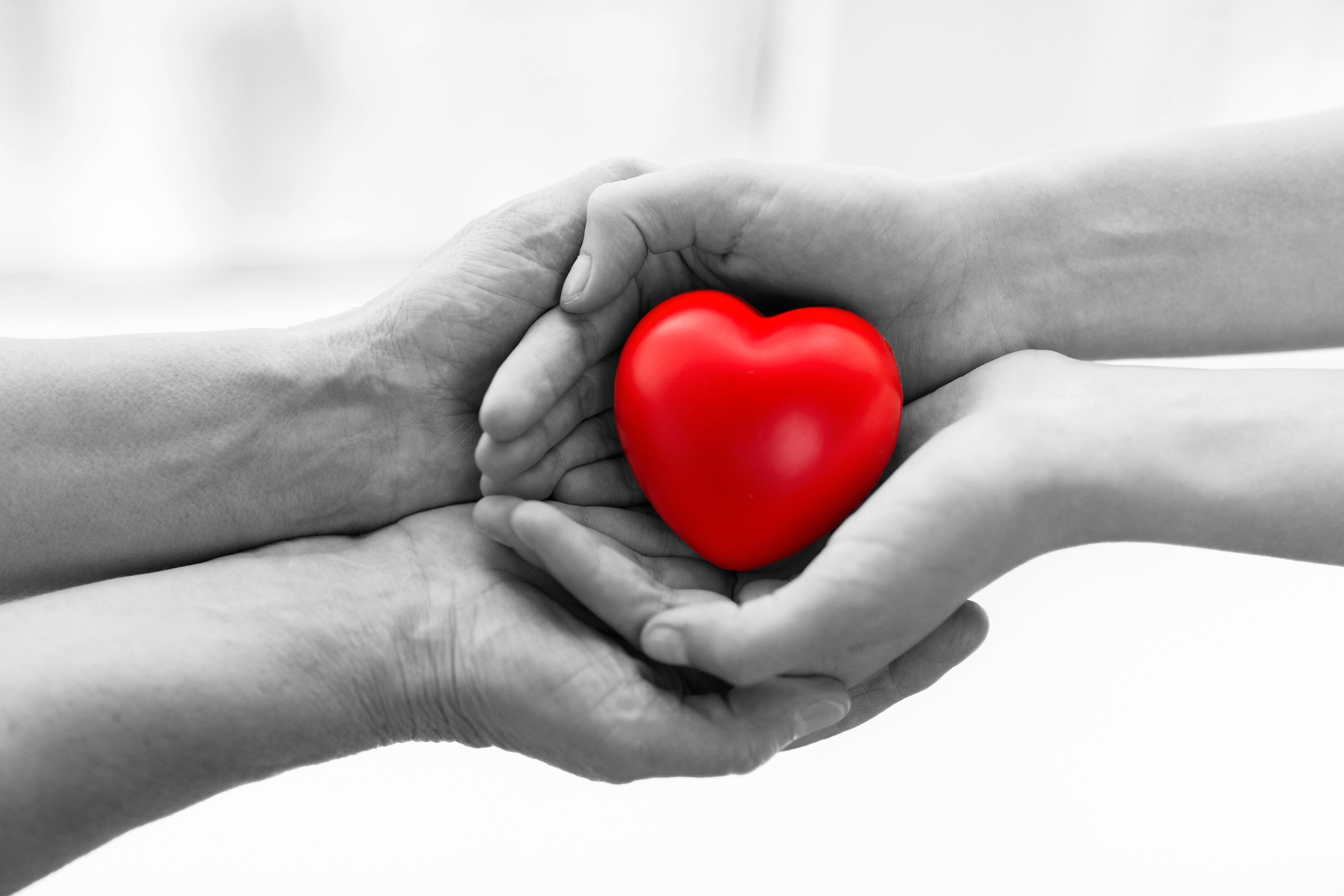 Loyal Health Services LLC | Loyal Health Services: Quality Home Care in Port Saint Lucie | Port Saint Lucie, FL | image11