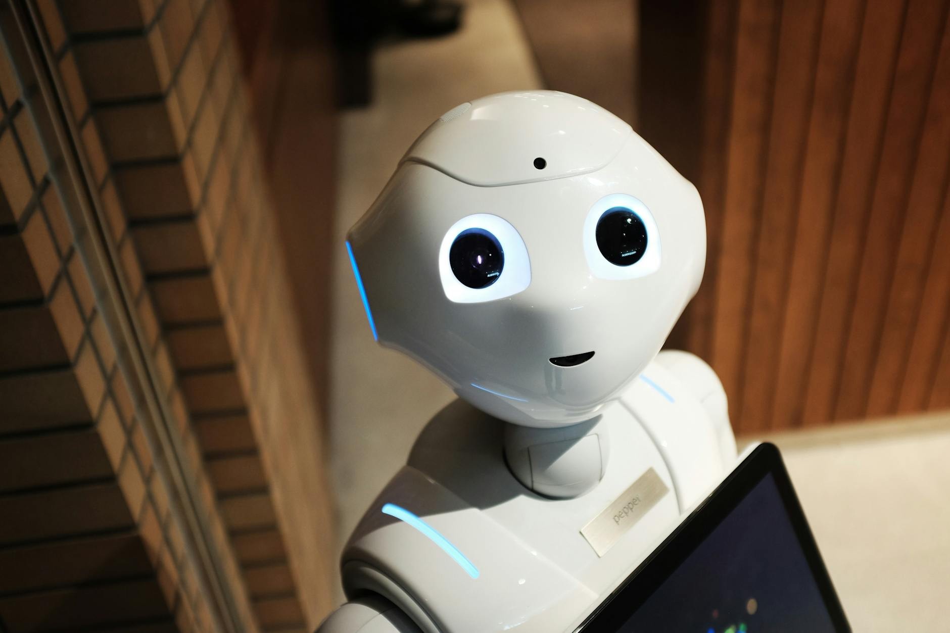 <p><span>Why Use Us When There’s AI?</span></p>