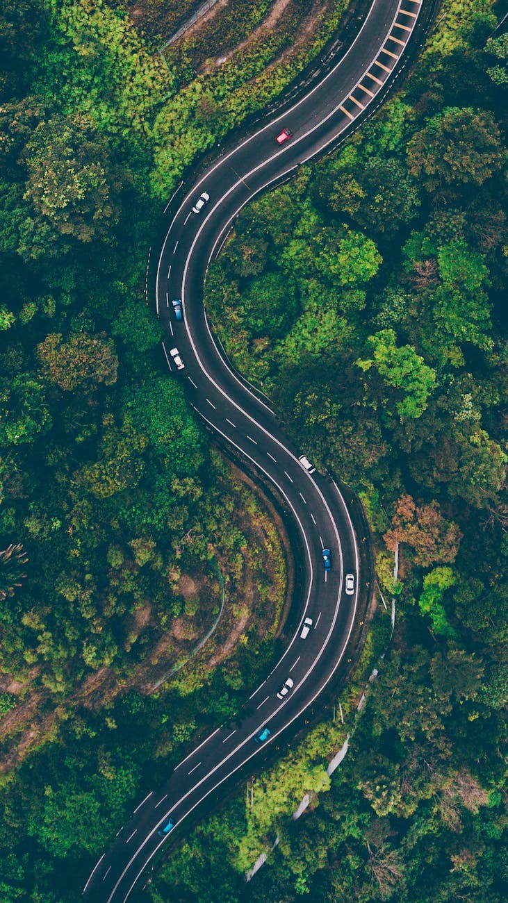 PeopleBridge Advisory | Road Map for Scaling Teams | image1