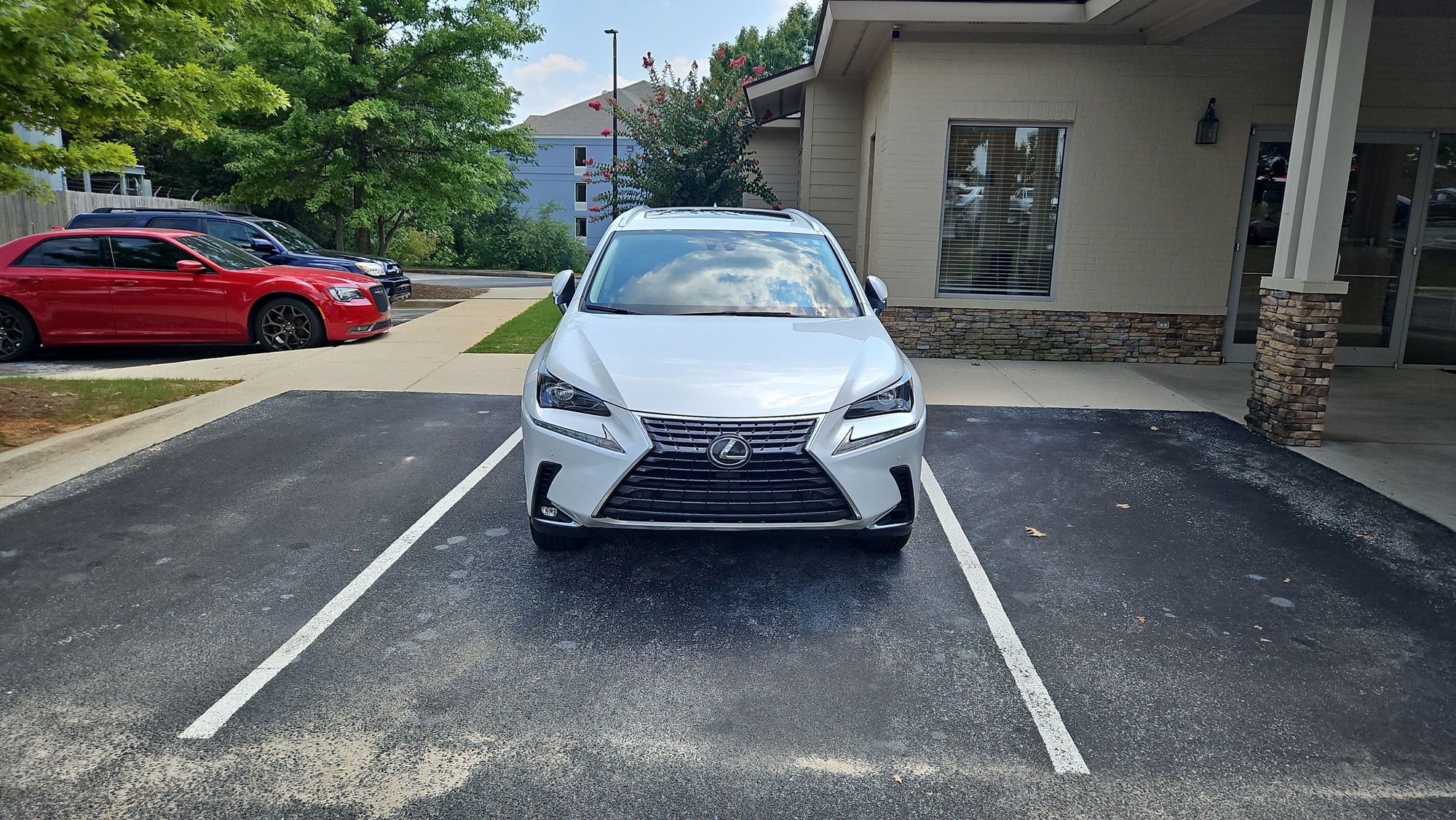 Elite Auto Marketing Solutions | Capture Attention with Professional Vehicle Videos | image2