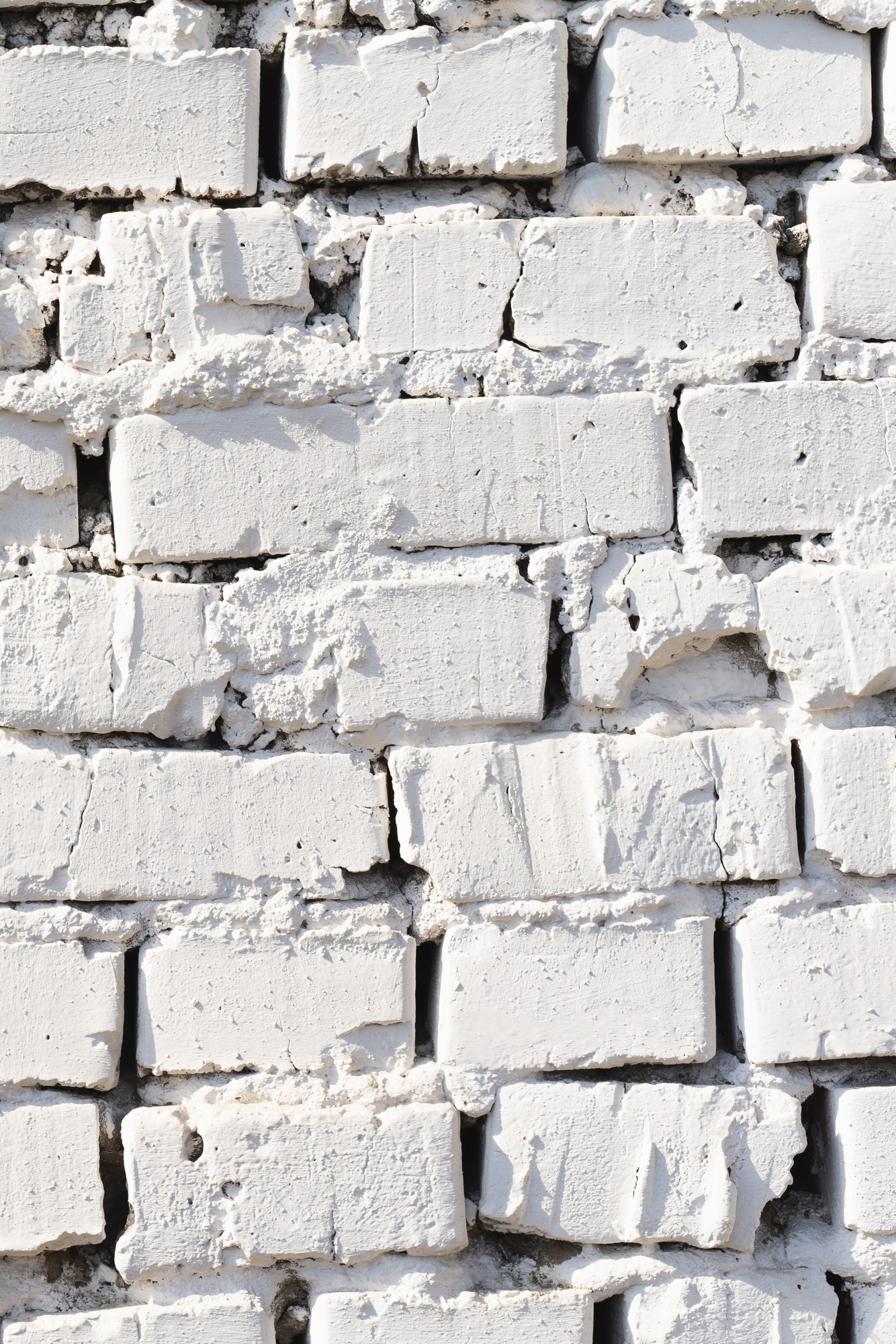 Personal Concierge Colorado | Effortless Personal Concierge Services in Colorado | Denver, Boulder, and Summit County, CO | image1