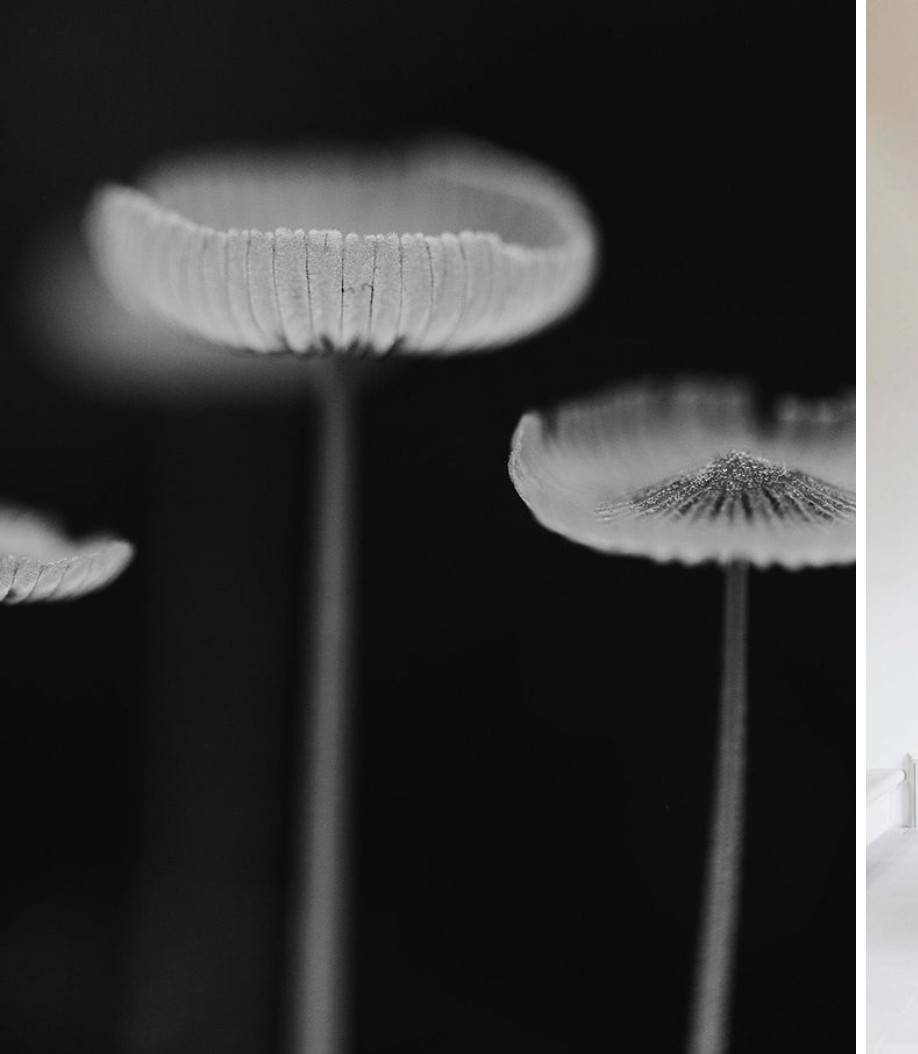 Personal Concierge Colorado | Reliable & Hardworking Personal Concierge in Colorado | Denver, Boulder, and Summit County, CO | image4