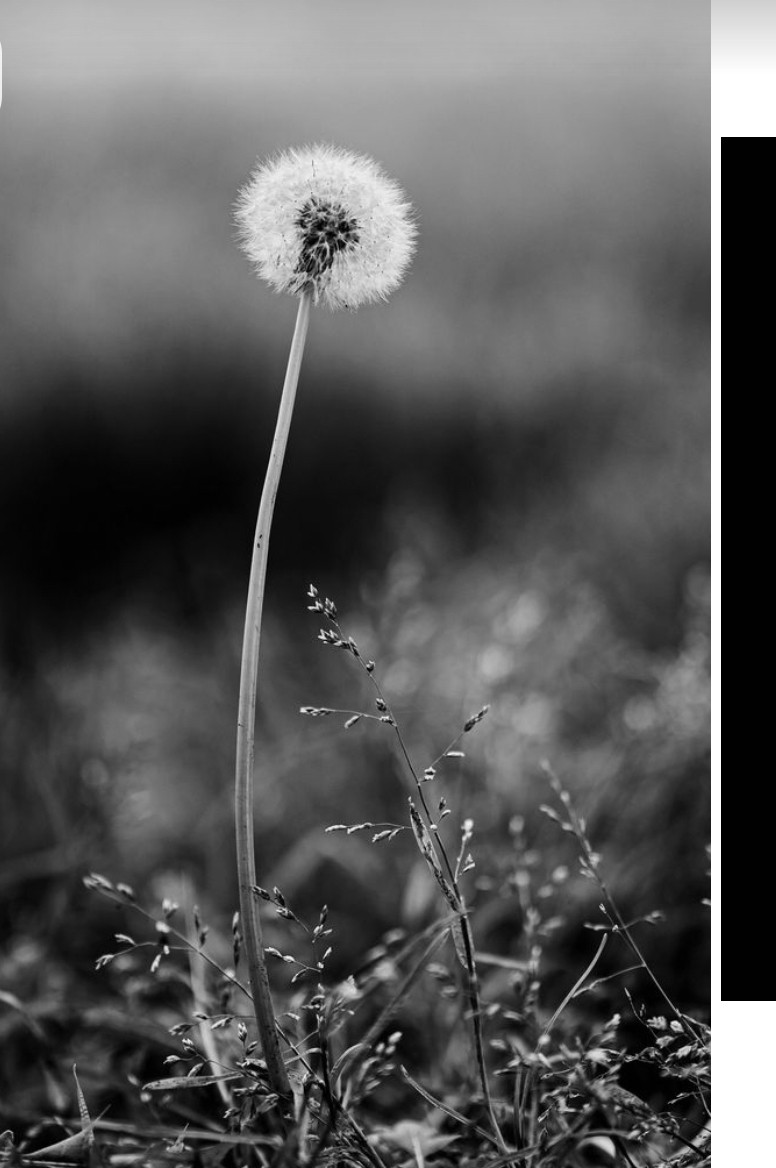 Personal Concierge Colorado | Experience White Glove Service with Personal Concierge | Denver, Boulder, and Summit County, CO | image3