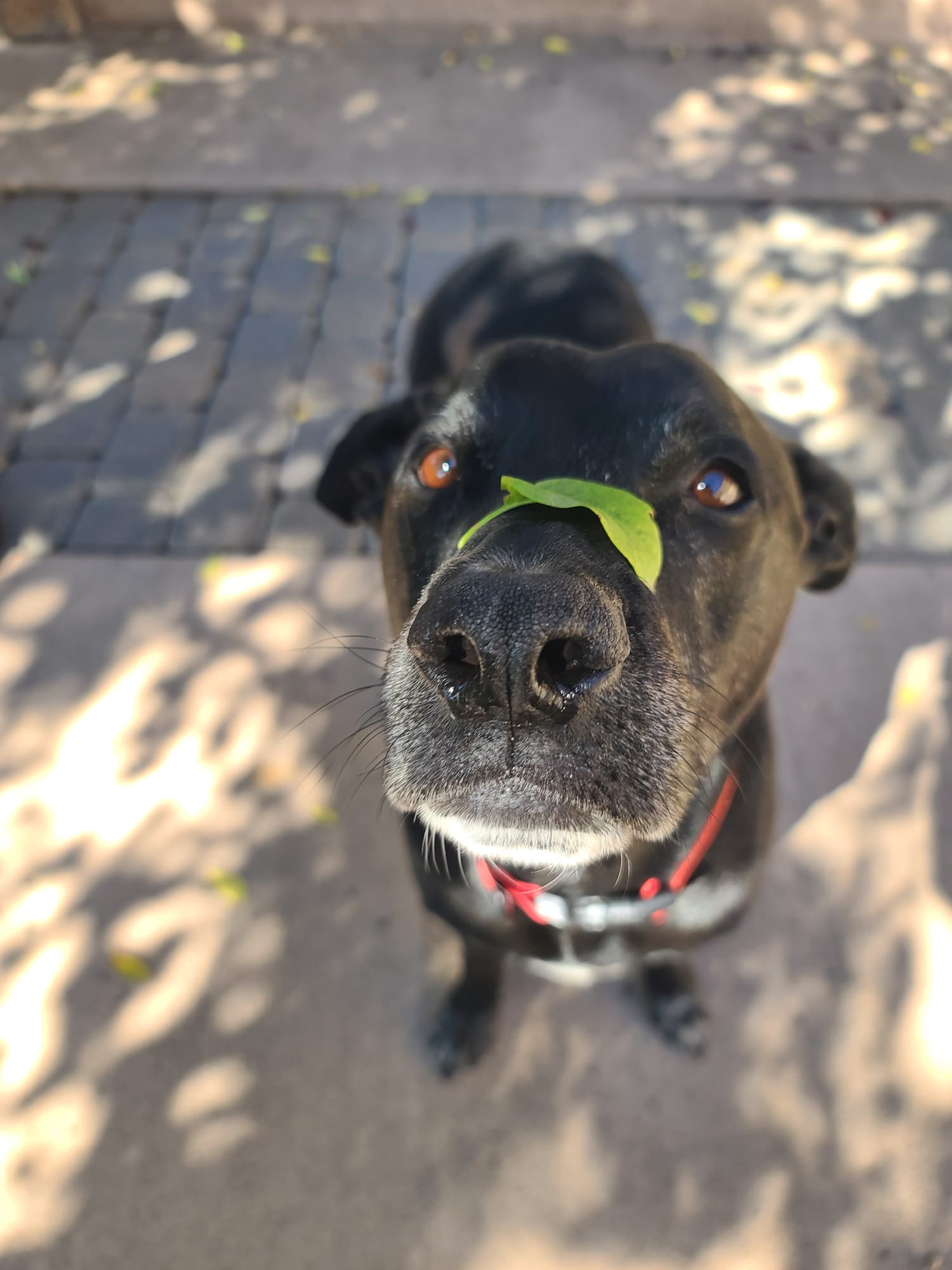 Personal Concierge Colorado | About Personal Concierge Colorado | Denver, CO | Denver, Boulder, and Summit County, CO | image2