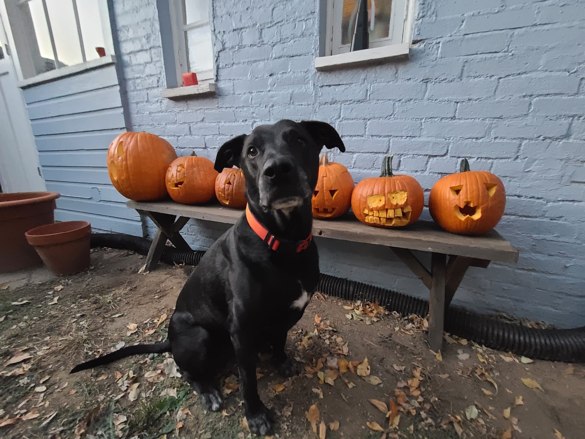 Personal Concierge Colorado | Stress-Free Absentee Services | Denver, Boulder, and Summit County, CO | image4