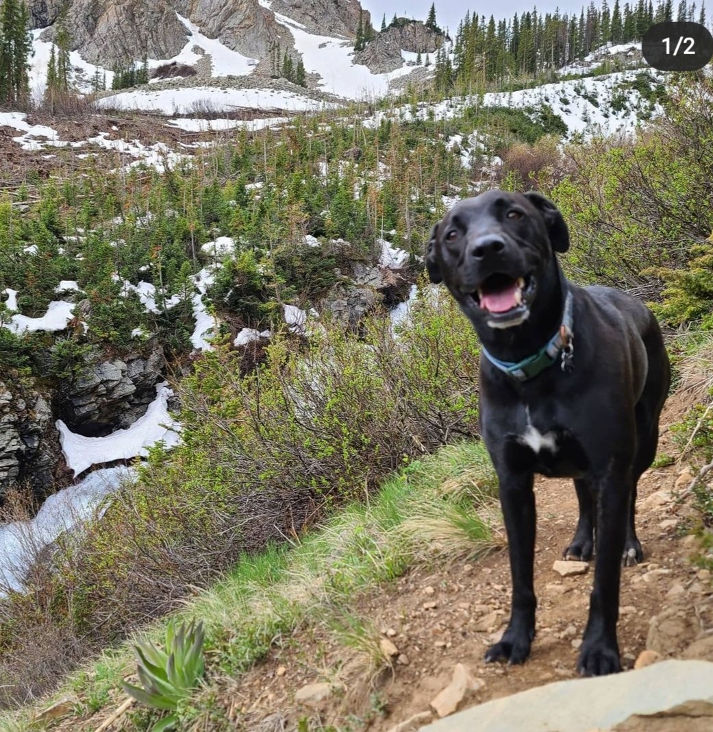 Personal Concierge Colorado | Effortless Personal Concierge Services in Colorado | Denver, Boulder, and Summit County, CO | image4