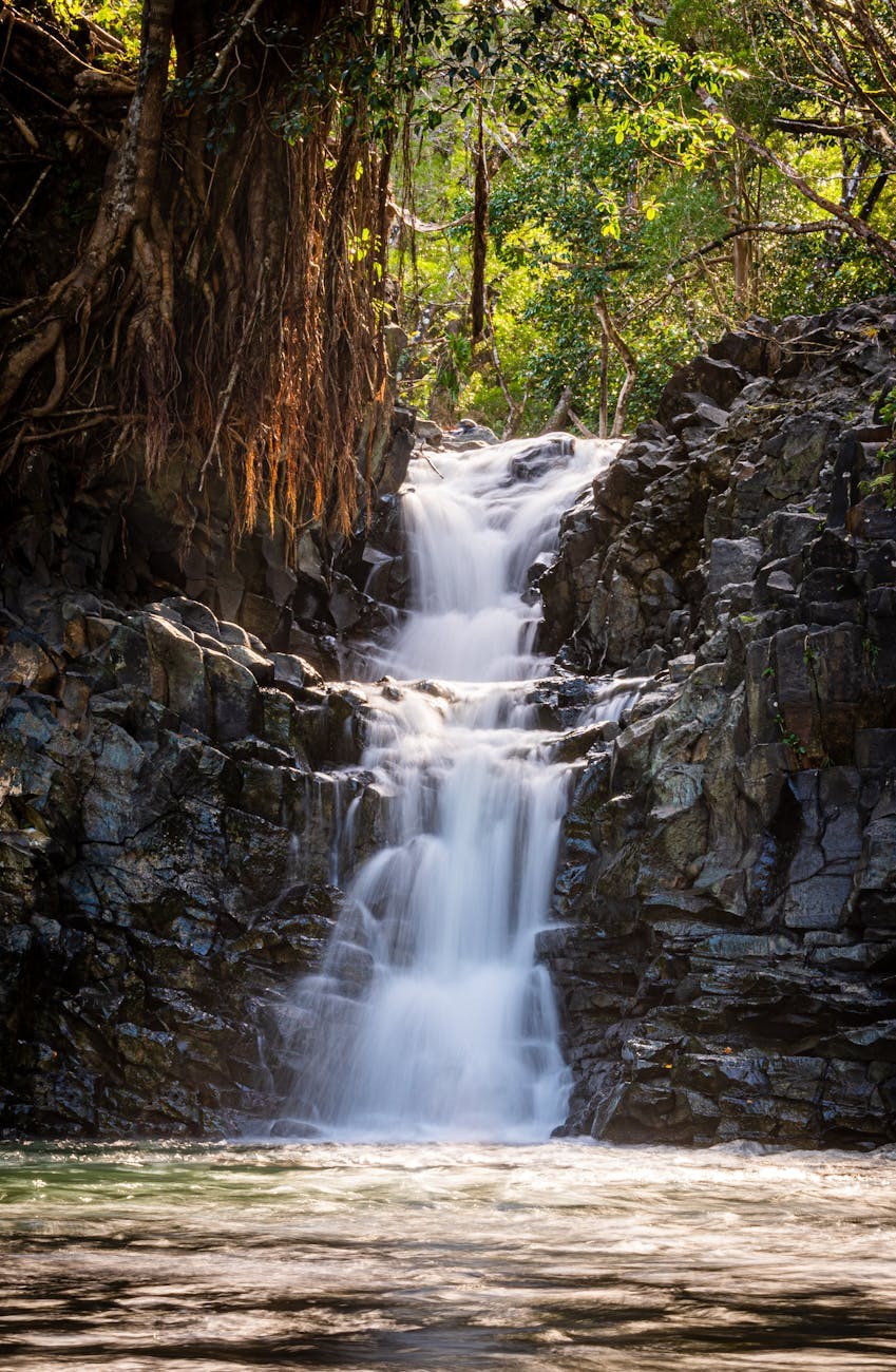 Moore Vacation Condos | Experience Luxury Hawaii Rentals with Moore Condos! | image2